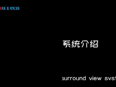 T5 AVM Veicolo 360 AVM Sistema CVBS AHD Camera Input AHD Segnale LVDS Segnale Output